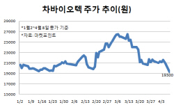 감사의견 ‘적정’ 받은 차바이오텍…시간외 상한가(종합)