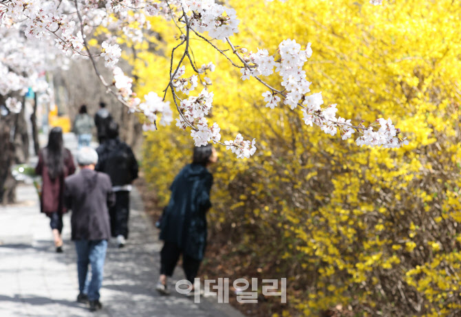 하이트진로, 라거의 반전 '켈리(Kelly)' 출시                                                                                                                          ...