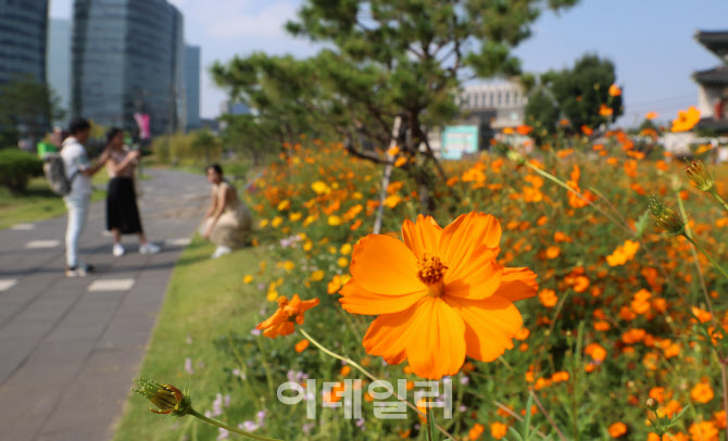 이상민 장관, '추석 연휴 강원 원주의료원 방문, 비상진료체계 점검'                                                                                                                ...