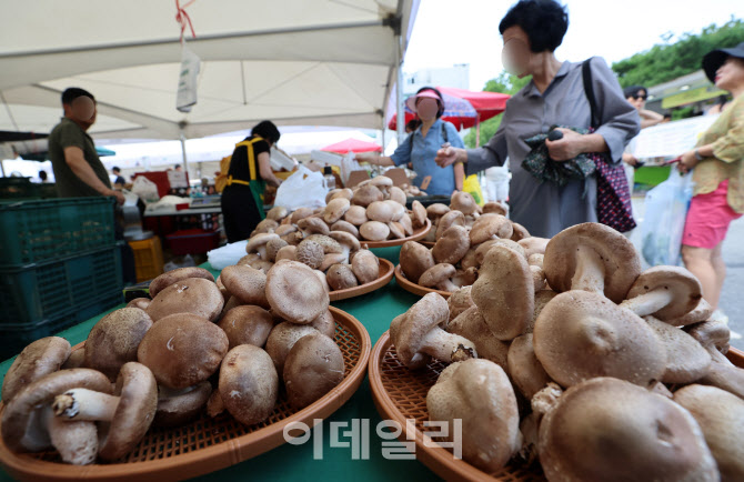 이마트, '캐치! 티니핑' 완구 최대 30% 할인                                                                                                                           ...