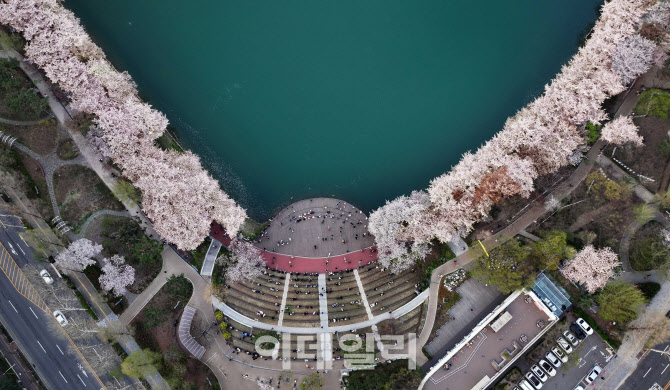 석촌호수와 함께한 벚꽃놀이                                                                                                                                       ...