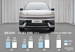 현대차·기아, '맞춤형 전기차'로 中시장 공략