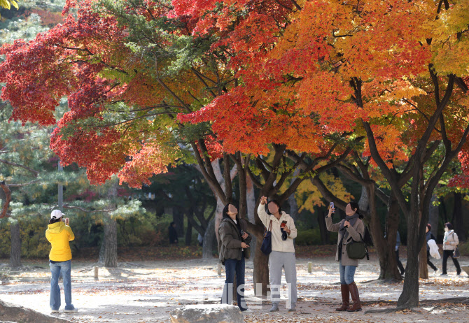 덕수궁의 가을                                                                                                                                              ...