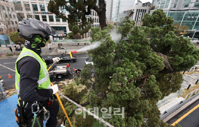 천년향 미세먼지 제거                                                                                                                                          ...