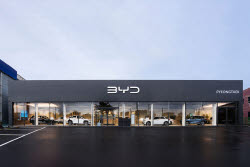 BYD, 국내 전시장 벌써 37곳…올해 목표 넘어 판매망 계속 넓힌다