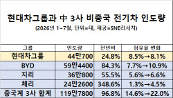 현대차그룹, 글로벌 전기차 판매 25% 늘었지만…中 공세에 점유율 하락