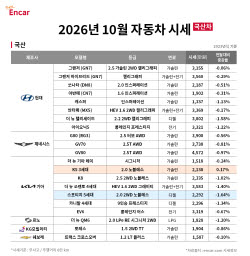 스포티지·팰리세이드 중고차값 하락…10월 시세 0.72%↓
