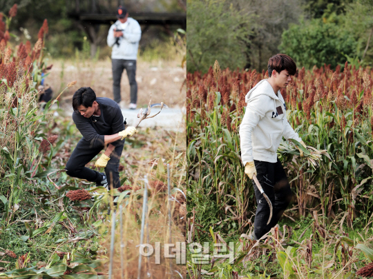 [2030귀농·귀촌⑤] 귀농·귀촌, 그것이 알고 싶다