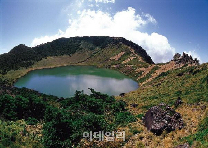 [경매 핫이슈]제주에 무슨일이…경매 응찰자 `전원 낙찰`