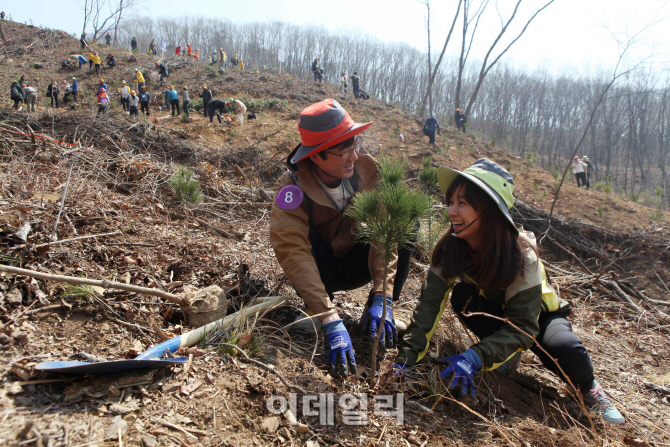 [포토]우리강산 푸르게 푸르게 2015 신혼부부 나무심기-5