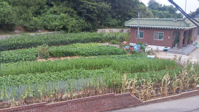 [르포]새만금 뽕밭이 쇼핑센터로…땅값 두배 뛰어도 `매물없어 못사`