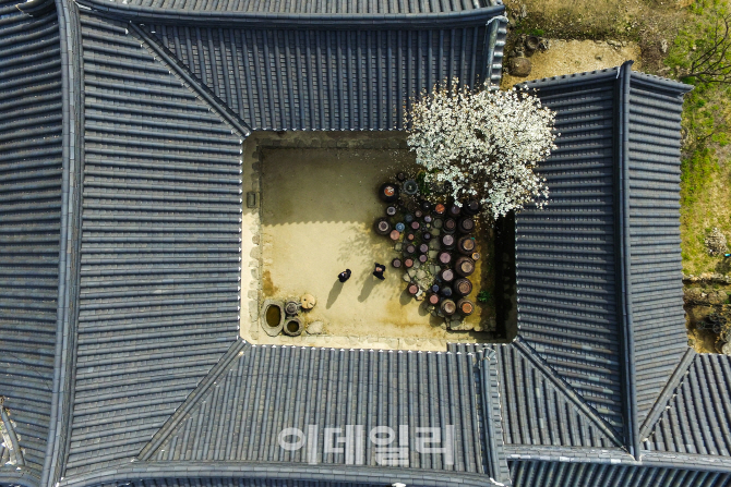 대한민국 최고의 관광사진…대통령상 `운조루의 봄`