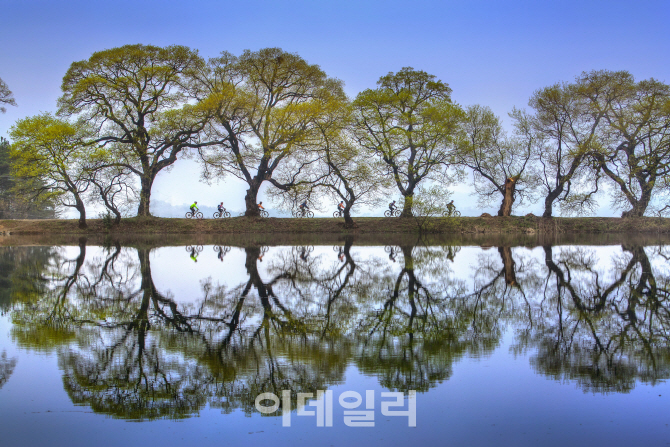 대한민국 최고의 관광사진…대통령상 `운조루의 봄`
