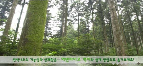 에덴바이오벽지 “천연벽지, 건강을 위한 필수 요소”