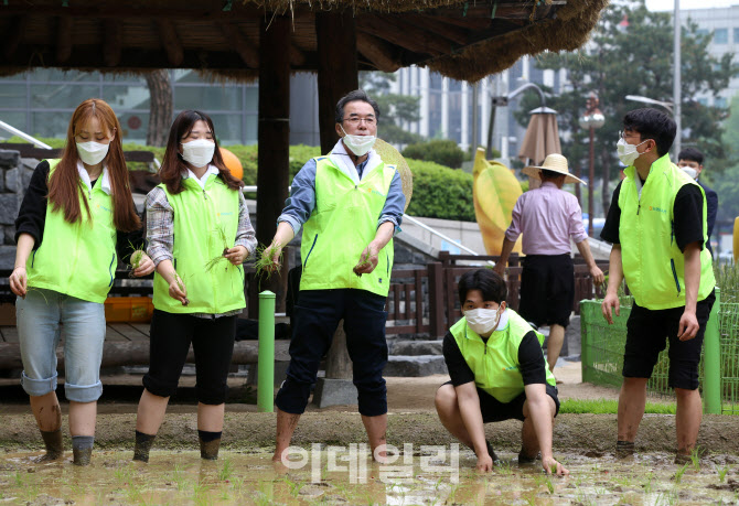 [포토] '소만'맞춰  도심 속 전통 손모내기