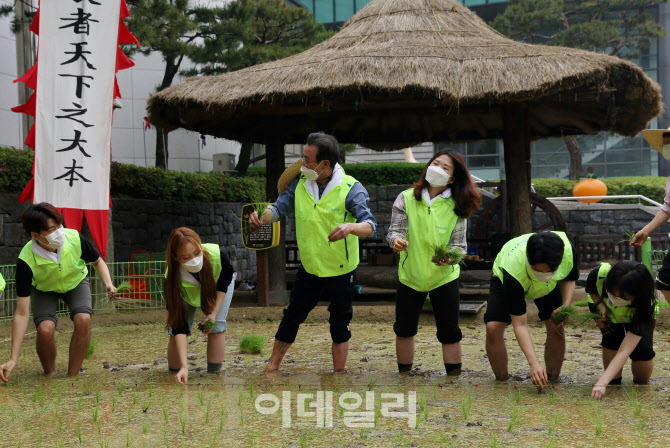 [포토] 대학생들에게 모내기 알려주는 이성희 농협회장