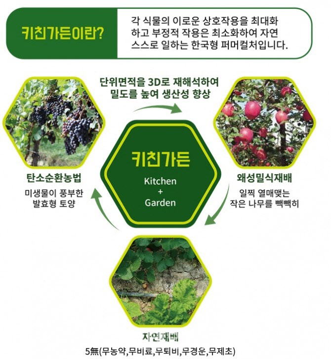 강원랜드 사내벤처 '애플체인' "그린뉴딜 성장 이끈다"