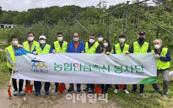 [포토] 농협 안심축산분사, 자매마을 일손돕기