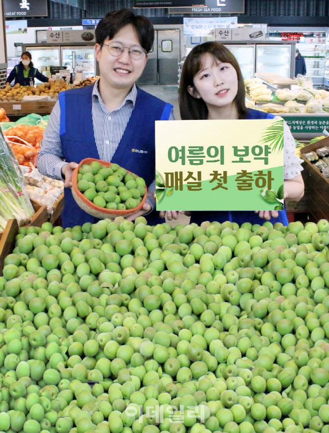 [포토] 농협하나로유통, 광양 매실 첫 출하