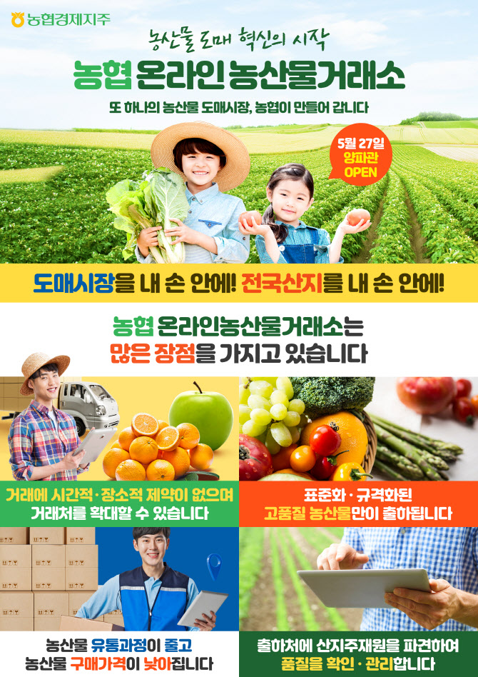 농협경제지주, 온라인농산물거래소 양파 판매 개시