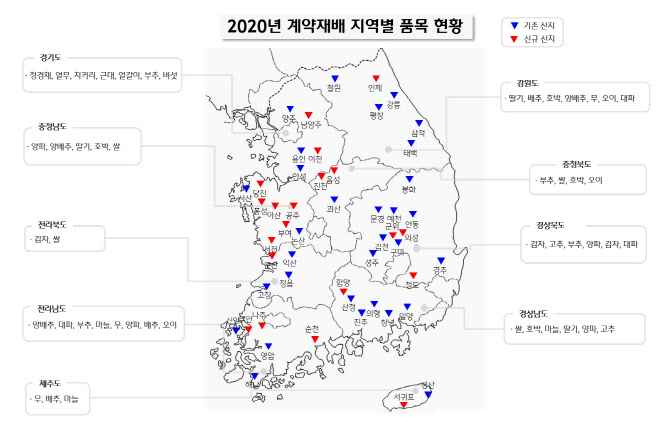 CJ프레시웨이, 농가 상생 위한 계약재배 확대…여의도 20배 규모