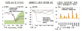 "코로나19 진정되면 신흥국 금융불안 유발 가능성"