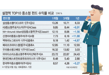 중소형주 펀드 선방했지만…코스닥 상승률 절반 수준인 이유