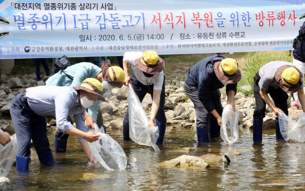 한국타이어, 멸종위기종 1급 `감돌고기` 방류 행사 진행