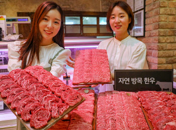 현대百 "친환경 '자연 방목 한우' 맛보세요"