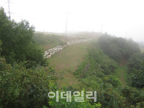 산림청, DMZ 내 GP 철거지 등 대상 산림복원 실태조사