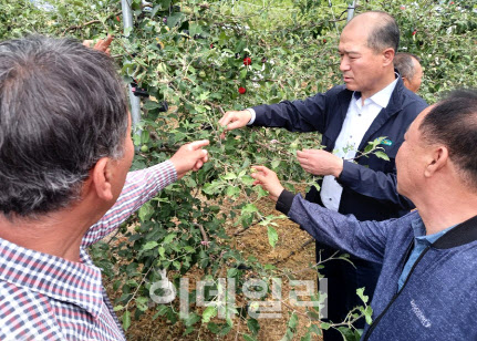 [포토] 과수 농가 찾은 최창수 NH손보 대표