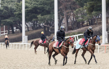 한국마사회, 19일부터 무관중 경마 재개…장외발매소 운영중단 계속