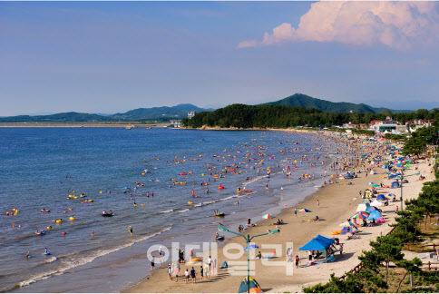 충남 대천·춘장대·만리포 등 6개 해수욕장, 발열체크 의무화