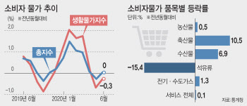 6월도 저물가 행진…재난지원금 효과에 고깃값은 올랐다