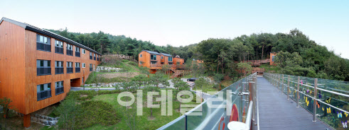 대전 시내버스 41번 노선, 국립대전숲체원까지 연장