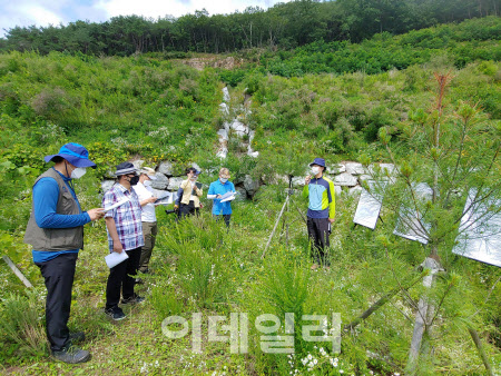 산림복원사업 끝나도 사후 관리까지 책임진다