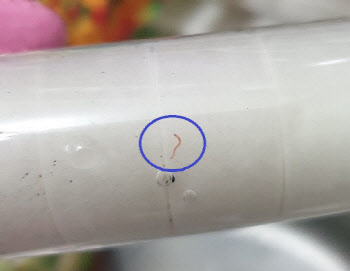 가느다란 벌레가 꿈틀…‘수돗물 유충’ 사태 원인은?