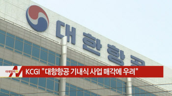  KCGI "대항항공 기내식 사업 매각에 우려" 外