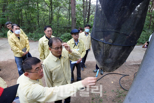 [포토]박종호 산림청장, 강원 매미나방 방제 현장 점검