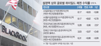 '해외 하이일드 채권형 펀드'에 돈 몰린다