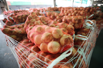 생산농가 직접 수급 관리…양파·마늘 의무자조금 설립