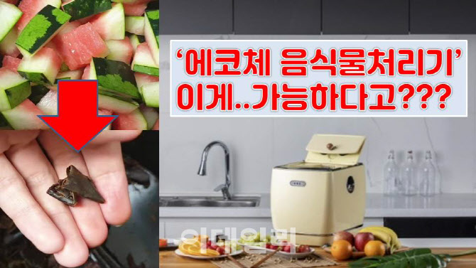 [말랑리뷰]수박껍질도 손쉽게..'에코체 음식물처리기' 써보니(영상)