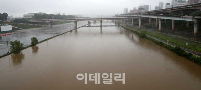 [포토]집중호우로 불어난 탄천