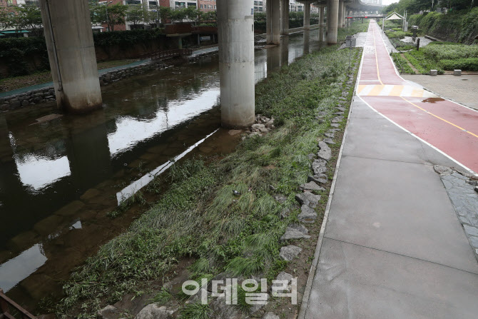 [포토]정릉천 범람 우려로 '통제'