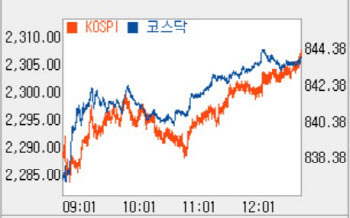  동학 개미의 힘…22개월 만에 ‘2300선’ 돌파