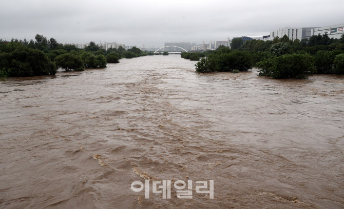 [포토]거센 물살 흐르는 서울 탄천