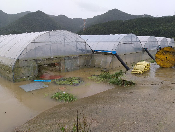 전국 흐리고 대부분 지역 비, 중부지방 최대 500㎜ 이상 폭우