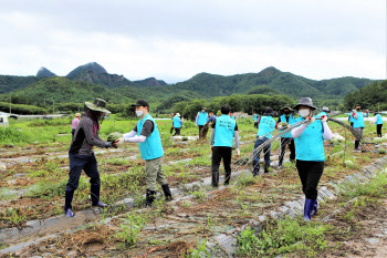 집중호우 피해 농촌 복구작업에 농식품부 직원들 구슬땀