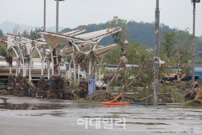 [포토]참혹한 반포한강둔치공원