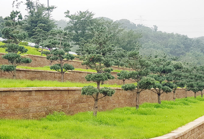 인천가족공원, 두 번째 수목장 ‘바람정원’ 개장